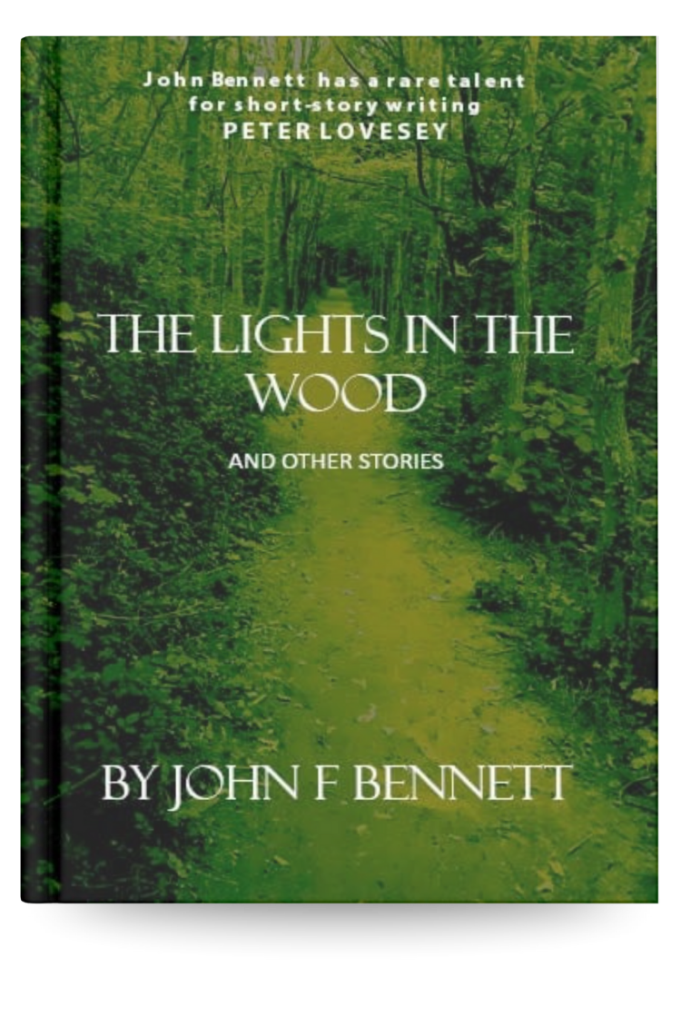 The lights in the wood